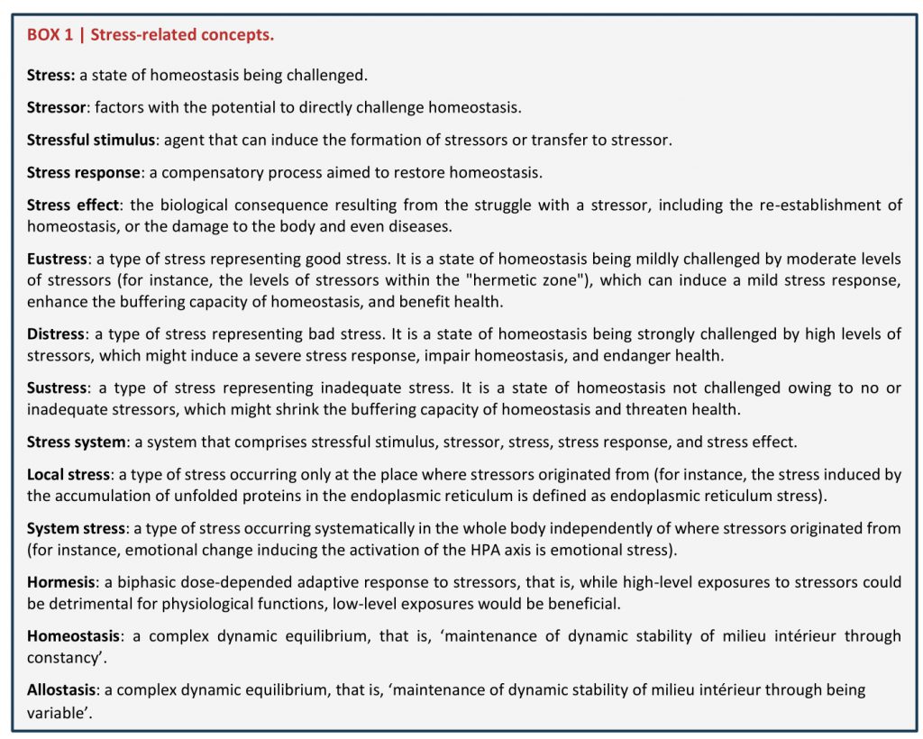 summarize-the-role-of-the-endoplasmic-reticulum